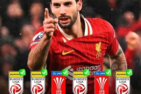 风云突变拜仁慕尼黑转会期复出首秀，德国杯版图或变，目标明确，团队化学反应显著的简单介绍